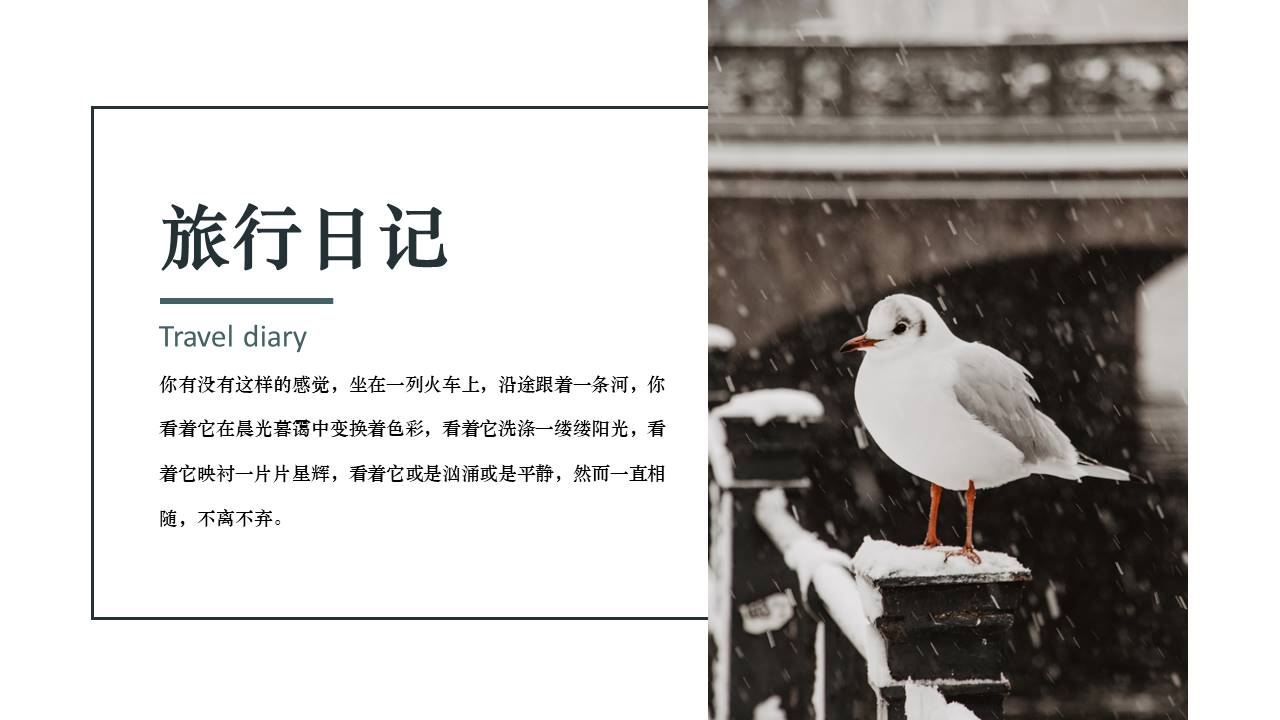 旅游画册 (41).pptx